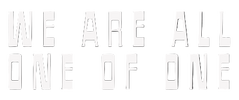 White text 'WE ARE ALL ONE OF ONE' on a transparent background